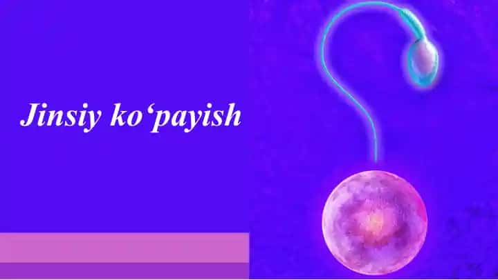 Jinsiy ko‘payish