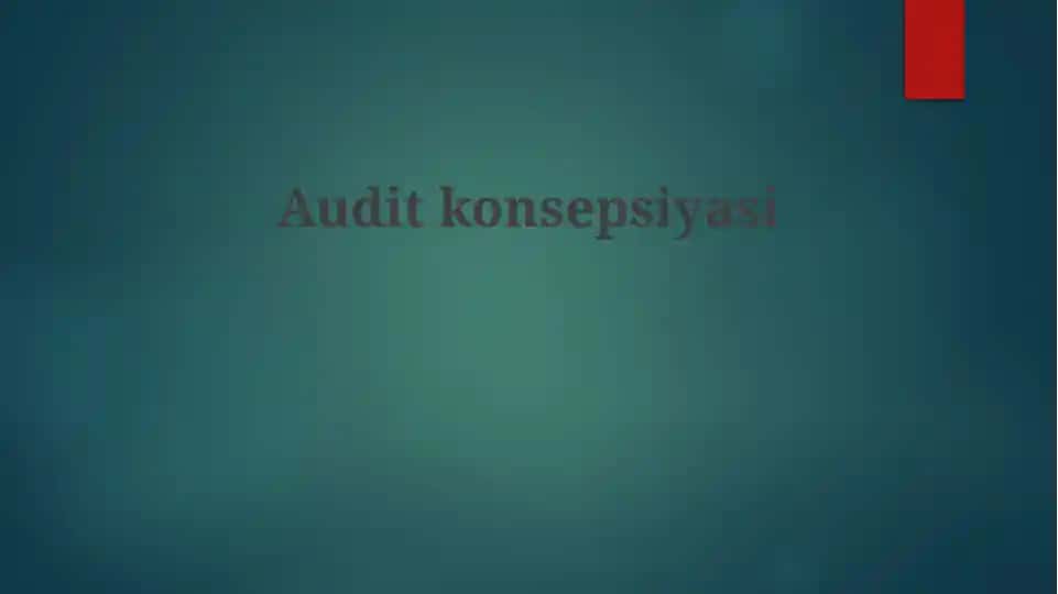 Auditkonsepsiyasi