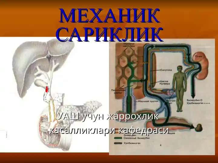Mexanik sariklik