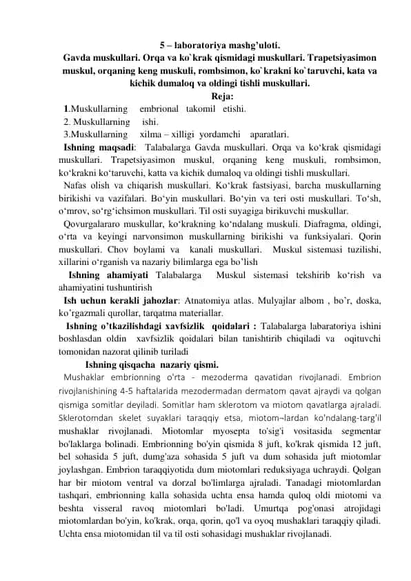 Gavda muskullari