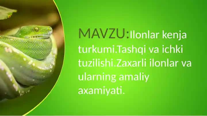 Ilonlar kengjaturkumi