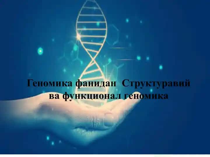 Геномик фанидан Структуравий ва Функционал геномика