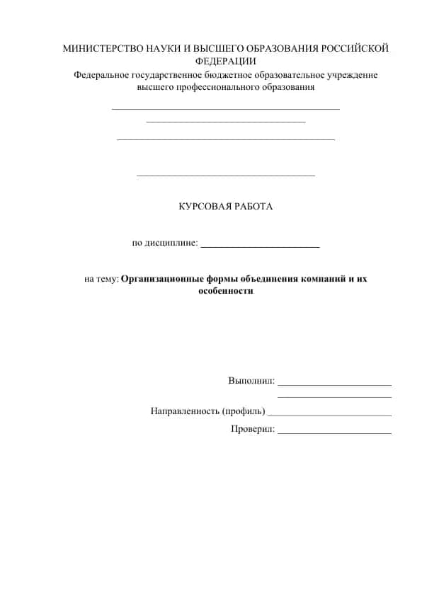 Исследование форм объединения компаний с анализом организационной структуры AliExpress и рекомендаци