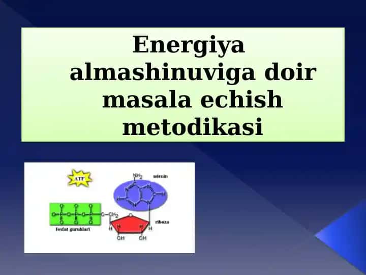 Energiya almashinuvi gadoir masala echish metodikasi