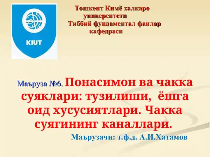 Чакка суягининг каналлари
