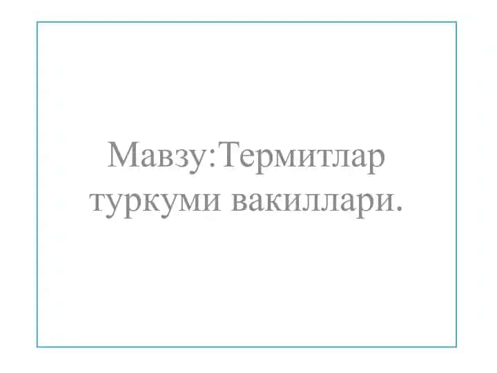 Termitlar turkumi vakillari