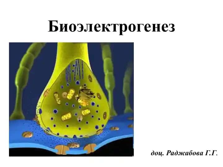 Bioelektrogenez