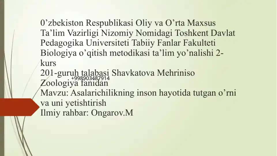 Asalarichilikning inson hayotida tutgan o’rni va uni yetishtirish