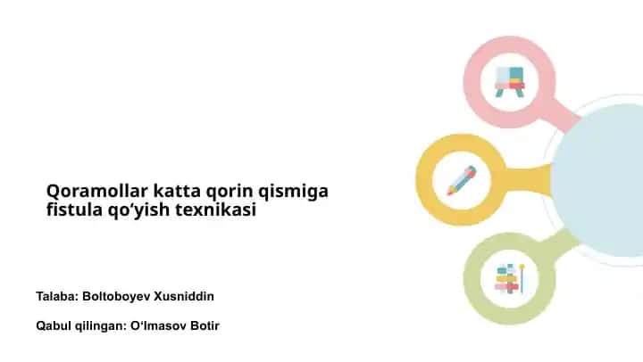 Qoramollar katta qorin qismiga fistula qo‘yish texnikasi