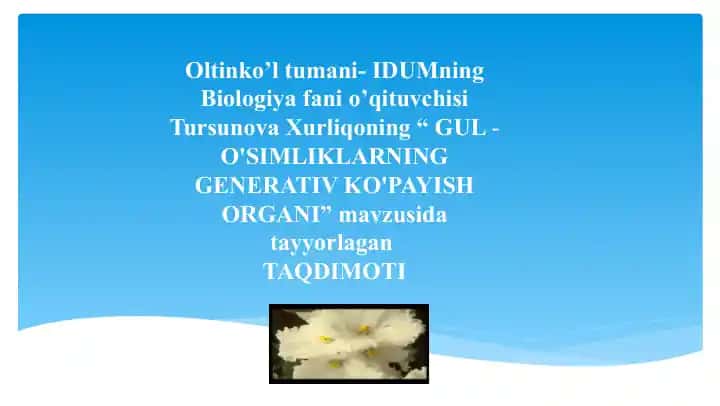 GUL - O'SIMLIKLARNING GENERATIV KO'PAYISH ORGANI