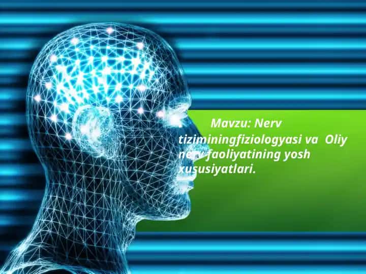 Nervtizimining fiziotologiyasi va Oliynerv faoliyati