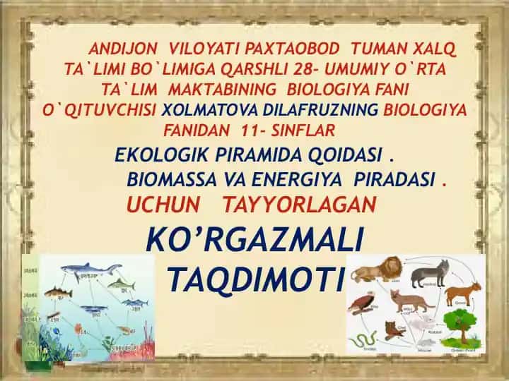 EKOLOGIK PIRAMIDA QOIDASI