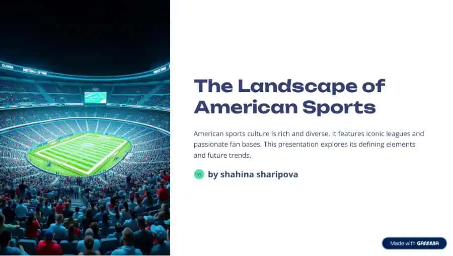 The Landscape of American Sports