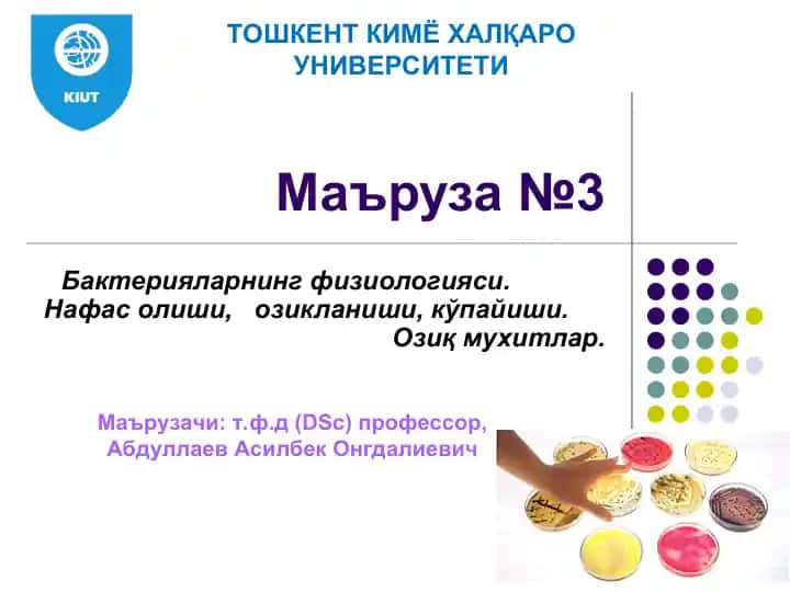 Bakteriyalar fiziologiyasi
