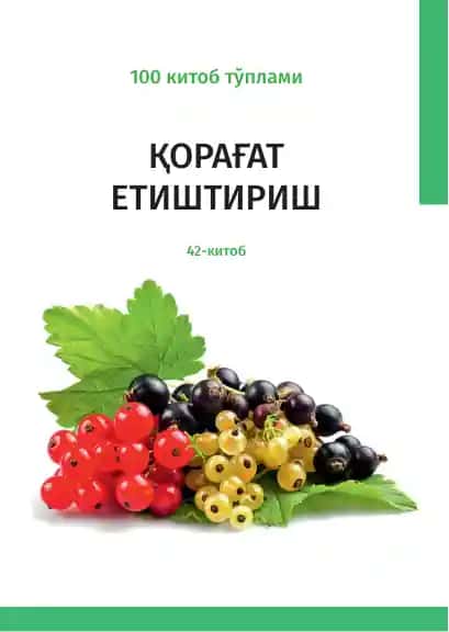 Қорағат етиштириш