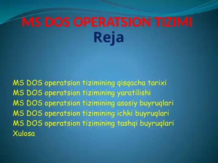 MS DOS OPERATSION TIZIMI