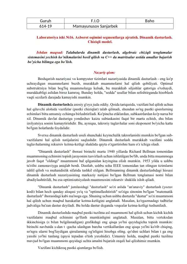 Laboratoriya ishi №16. Axborot oqimini segmentlarga ajratish. Dinamik dasturlash. Chiziqli model.