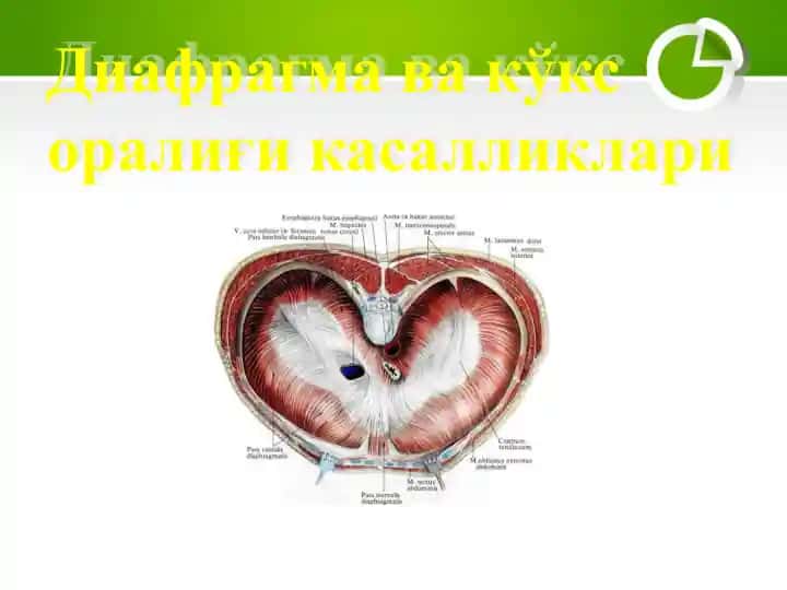 Диафрагма ва кўкс оралиғикасалликлари