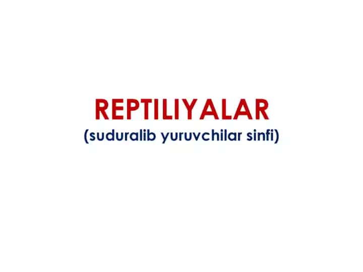 REPTILIYALAR