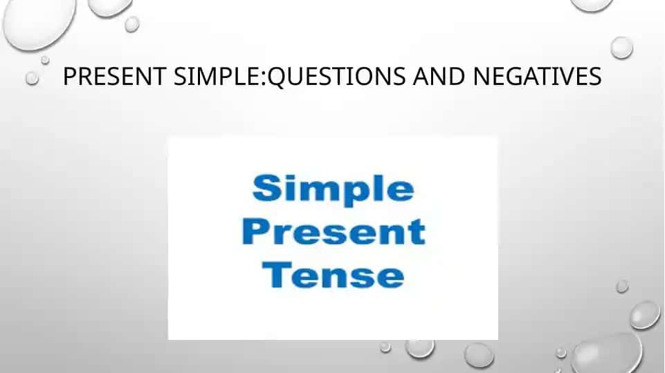 Present Simple: Questions and Negatives