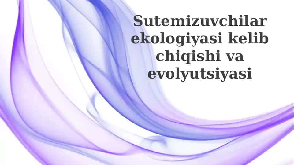 Filtrlash oziqlantiruvchilarning kelib chiqishi va evolyutsiyasi