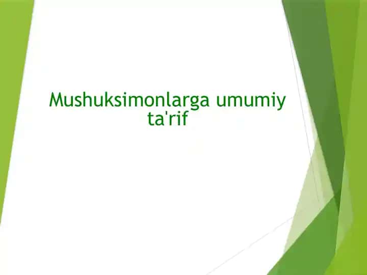 Mushuksimonlarga umumiy ta'rif