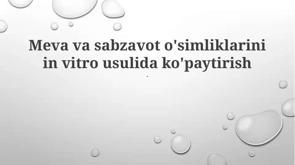Mikroko'paytirish texnologiyalari