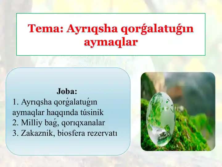 Ayrıqsha qorǵalatuǵın aymaqlar