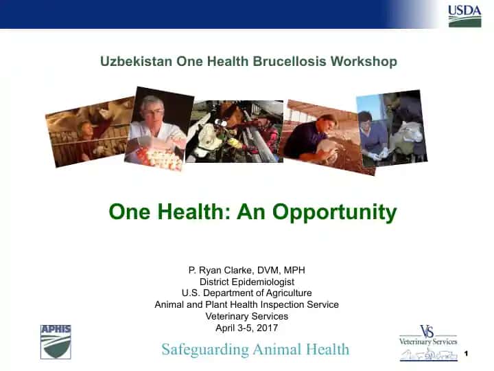 Uzbekistan One Health Brucellosis Workshop