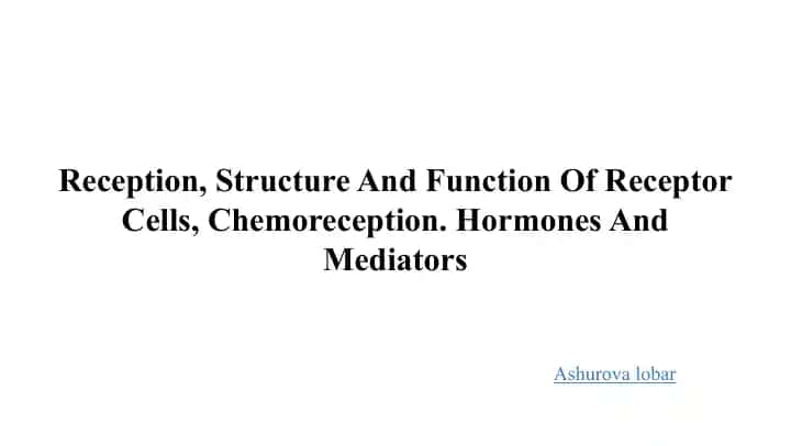Receptor Cells