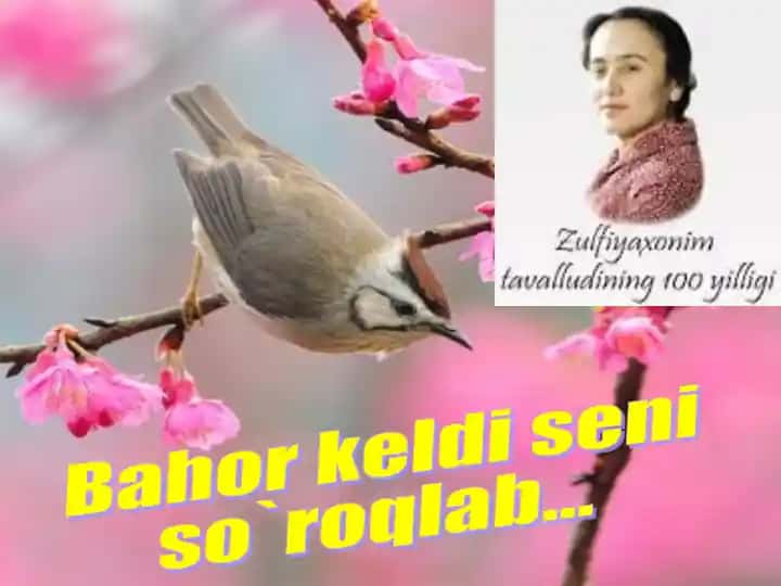 Zulfia Isroilova hayoti va ijodi