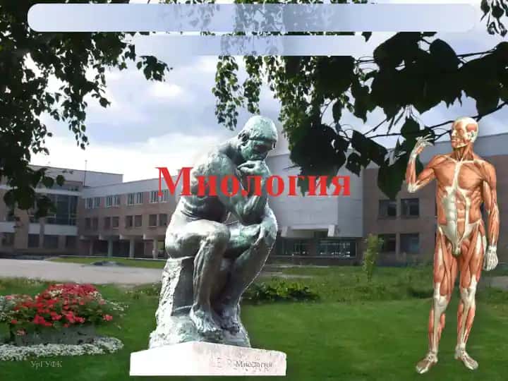 Миология