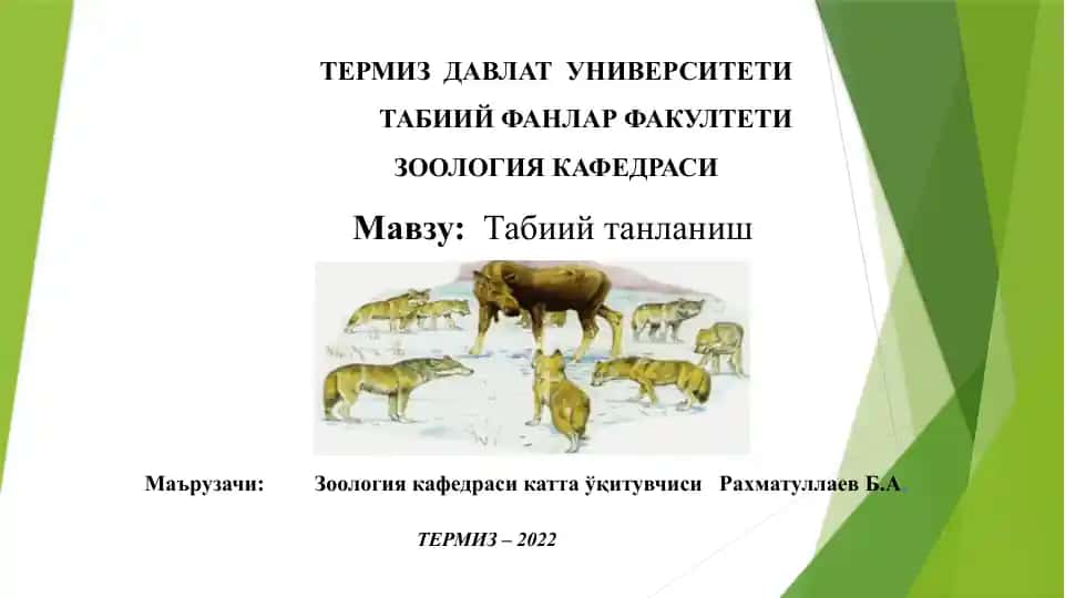 Табиийтанланиш