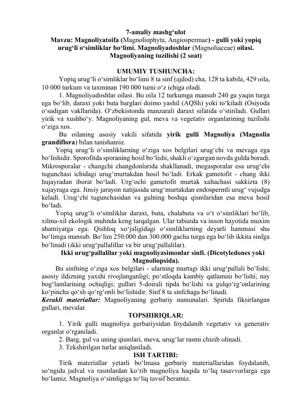 Magnoliyadoshlar oilasi