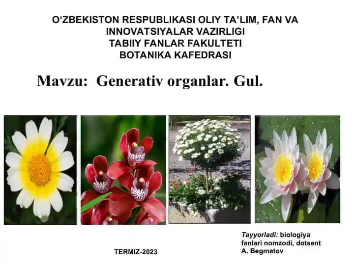 Generativ organlar. Gul.