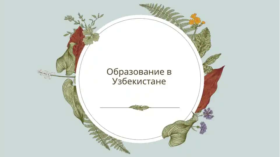 Образование в Узбекистане