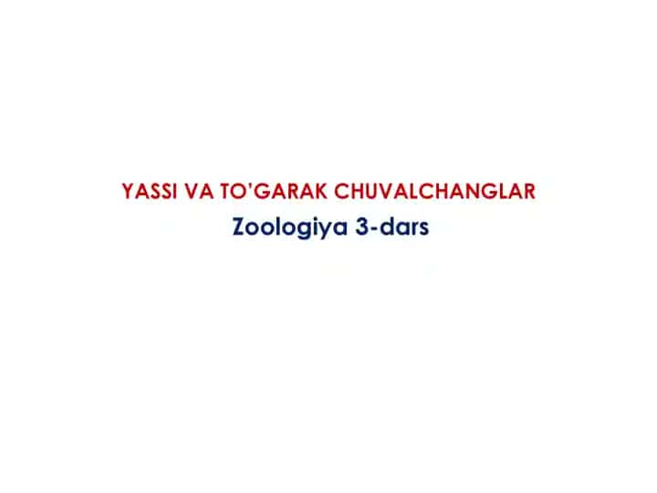 YASSI VA TO’GARAK CHUVALCHANGLAR