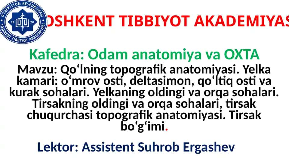 Qo‘lning topografik anatomiyasi