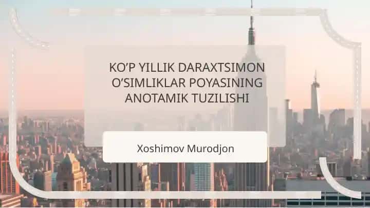 KO’P YILLIK DARAXTSIMON O’SIMLIKLAR POYASINING ANOTAMIK TUZILISHI