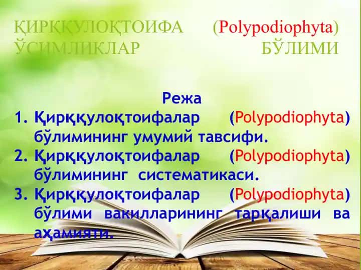 Қирққулоқтоифалар (Polypodiophyta)бўлими