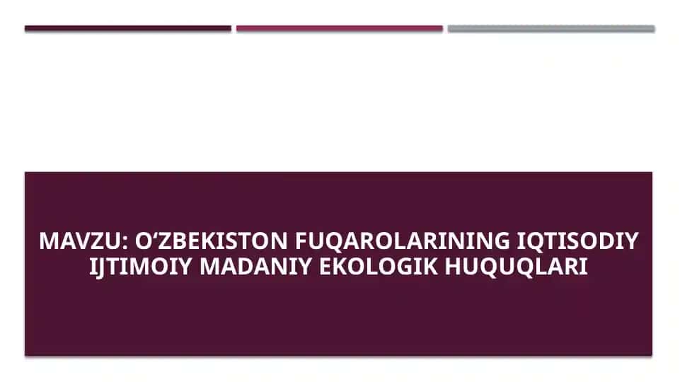 Oʻzbekiston fuqarolarining iqtisodiy ijtimoiy madaniy ekologik huquqlari