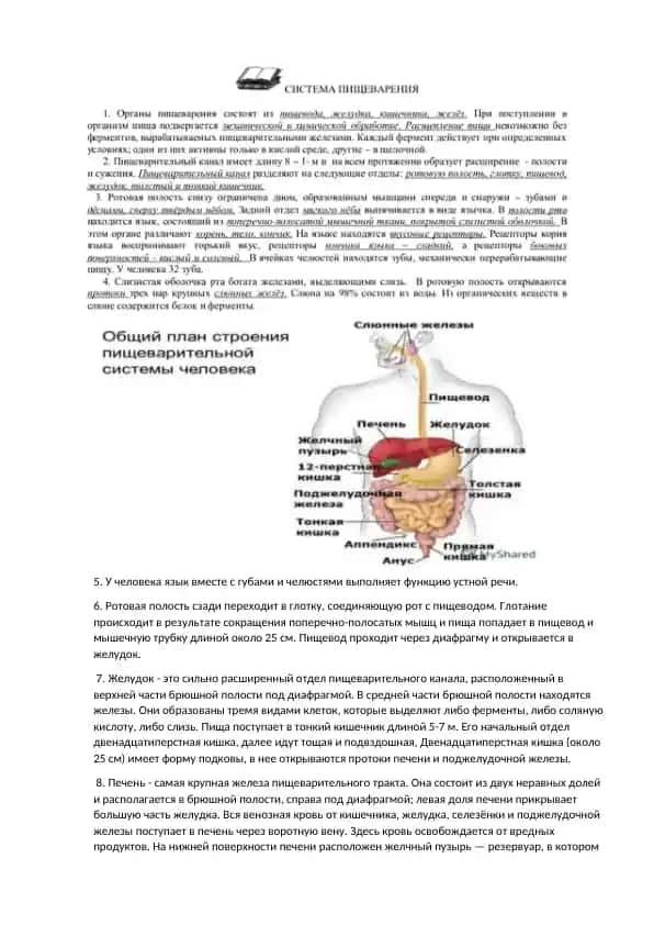 Ustnij rech