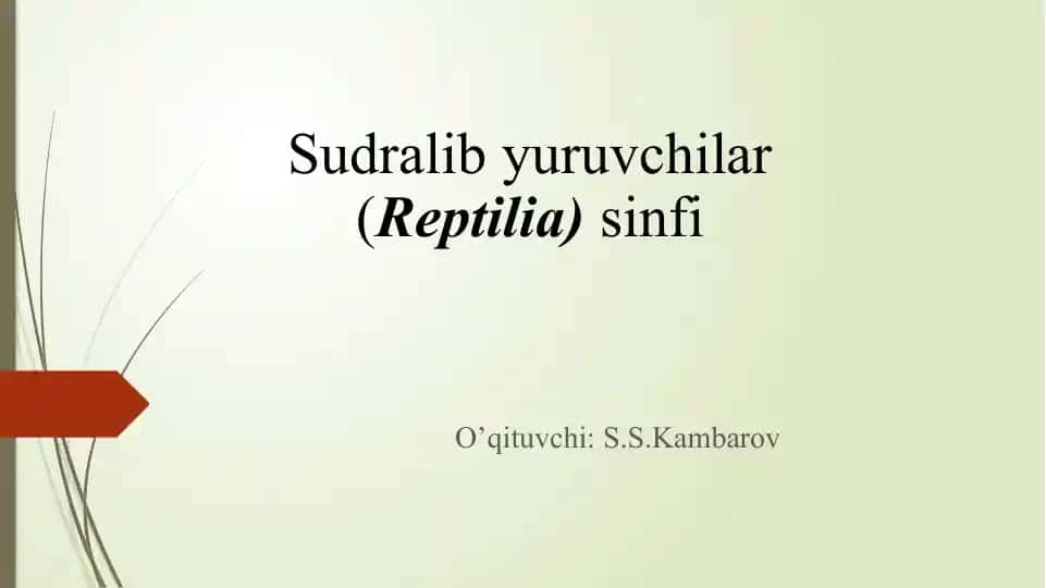 Sudralibyuruvchilar (Reptilia) sinfi