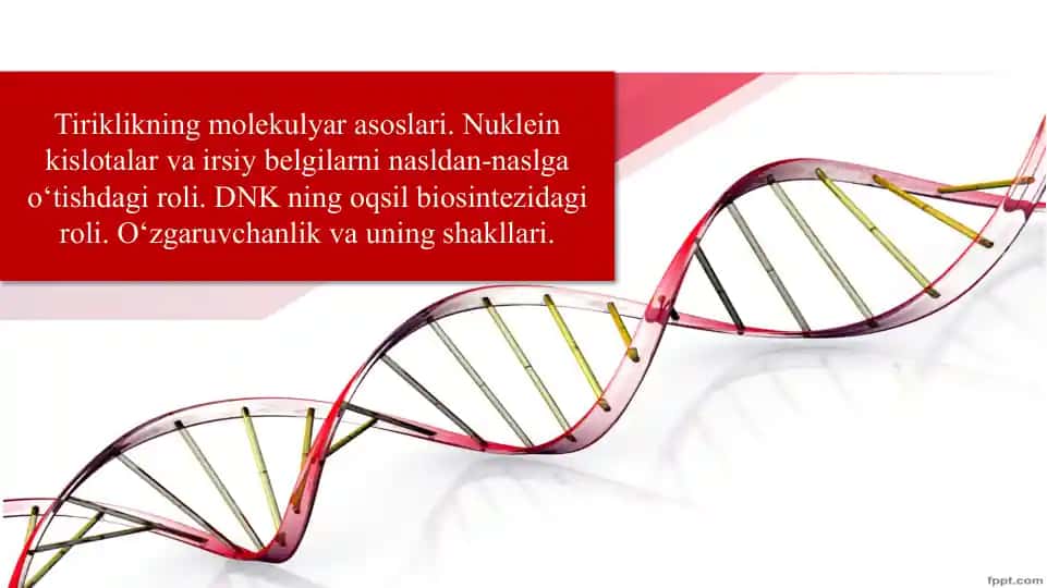 Tiriklikning molekulyar asoslari