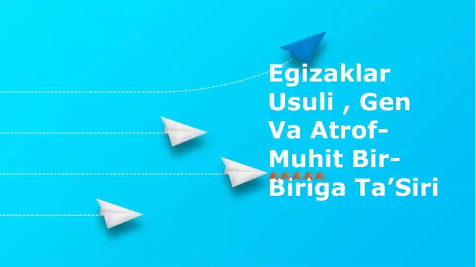 Egizaklar Usuli