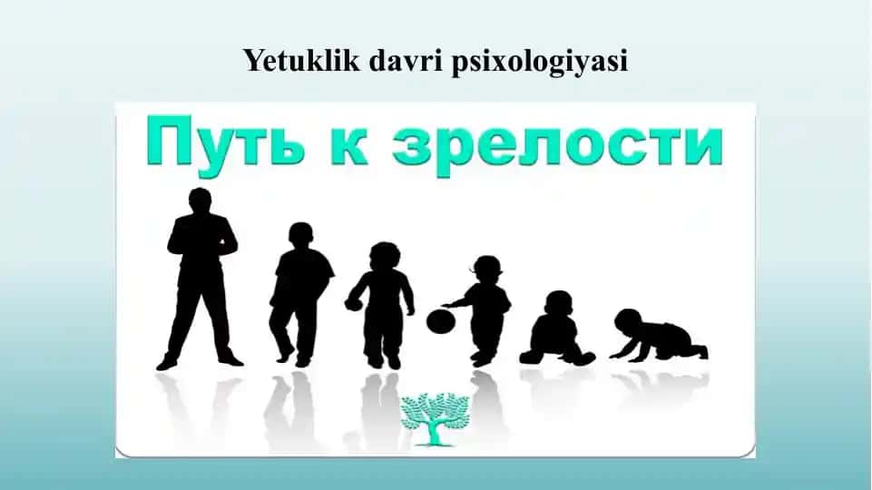 Yetuklik davri psixologiyasi