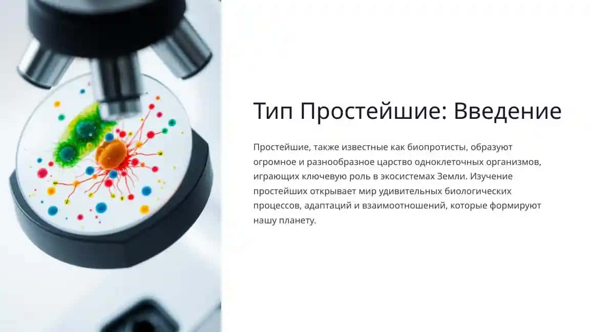 Простейшие