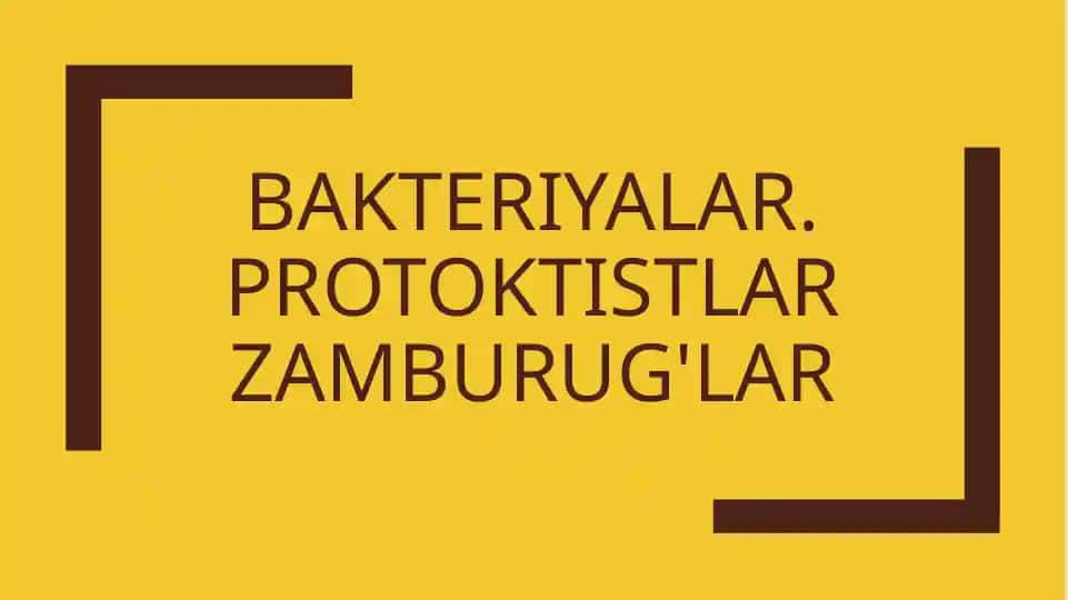 Bakteriyalar.ProtoktistlarZamburug'lar