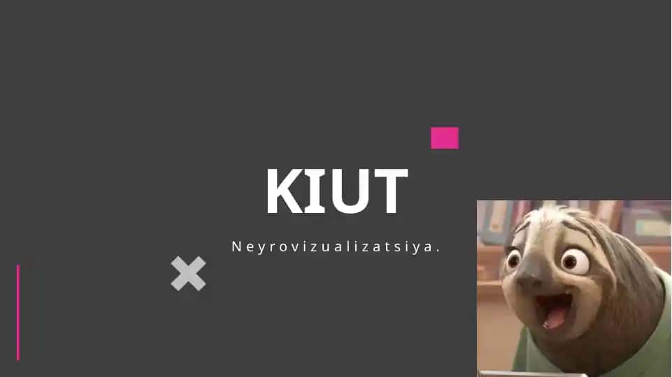 Neyrovizualizatsiya