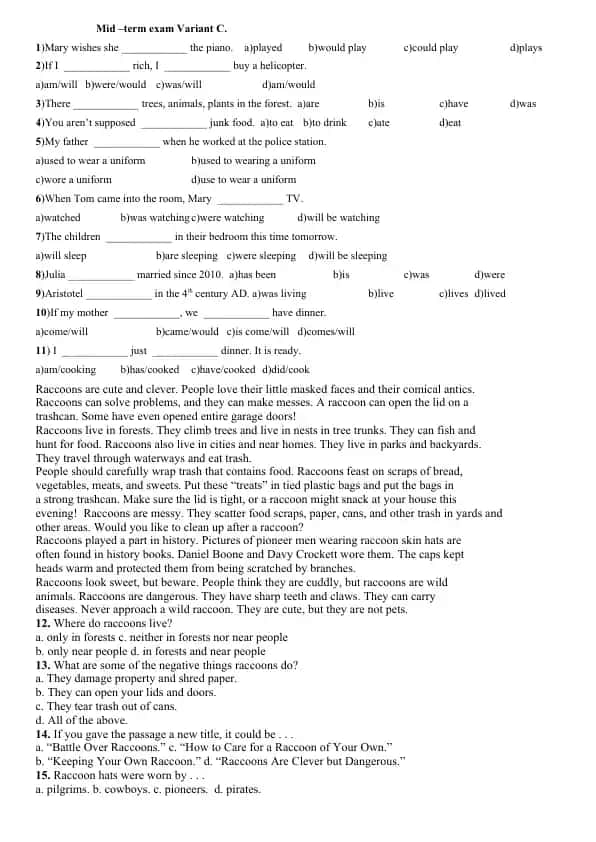 English Grammar Test